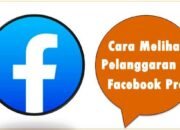 Cara Melihat Pelanggaran di Facebook Pro