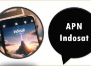 APN Indosat 2025