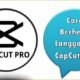 Cara Berhenti Langganan CapCut Pro