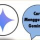 Cara Menggunakan Gemini AI