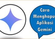 Cara Menghapus Aplikasi Gemini