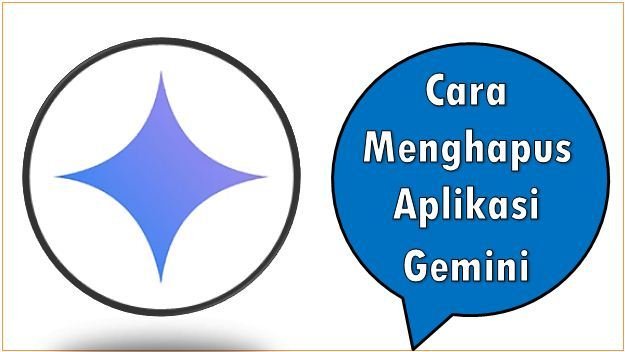 Cara Menghapus Aplikasi Gemini