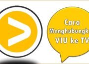 Cara Menghubungkan VIU ke TV