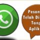 Pesan Ini Telah Dihapus Tanpa Aplikasi