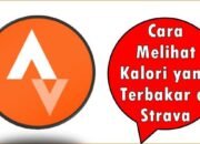 Cara Melihat Kalori yang Terbakar di Strava
