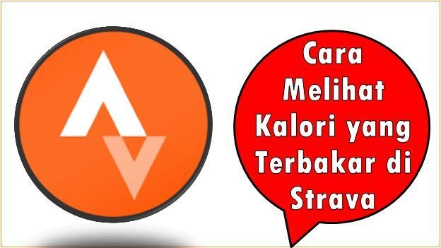 Cara Melihat Kalori yang Terbakar di Strava