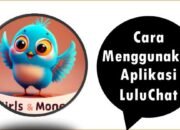 Cara Menggunakan Aplikasi LuluChat