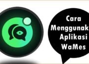 Cara Menggunakan Aplikasi WaMes