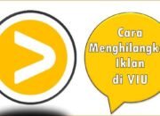 Cara Menghilangkan Iklan di VIU