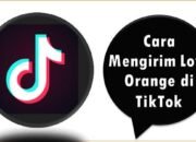 Cara Mengirim Love Orange di TikTok
