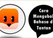 Cara Mengubah Bahasa di Tantan