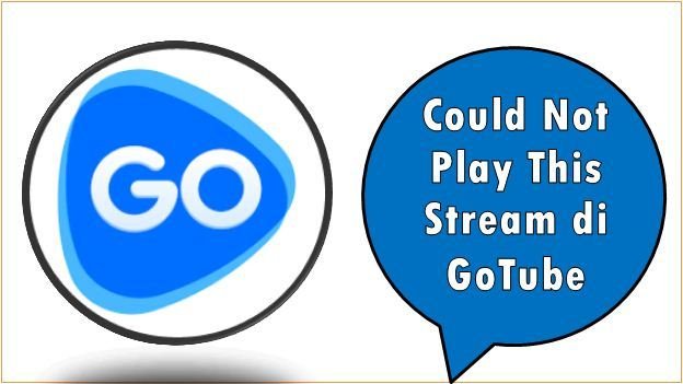 Could Not Play This Stream di GoTube