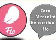 Cara Mencatat Kehamilan di Flo