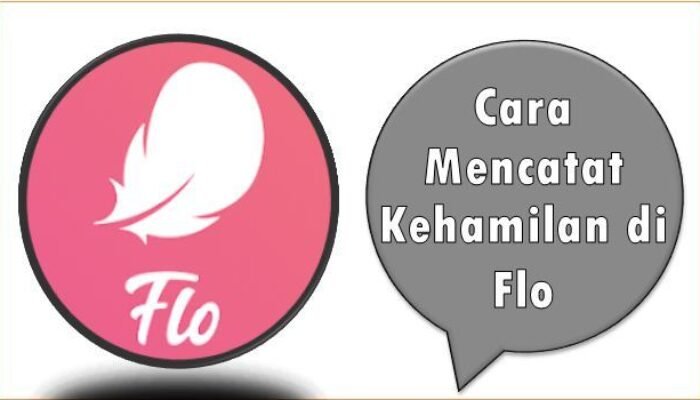 Cara Mencatat Kehamilan di Flo