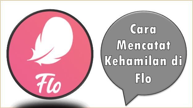 Cara Mencatat Kehamilan di Flo