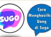 Cara Menghasilkan Uang di Sugo