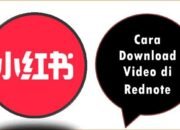 Cara Download Video di Rednote