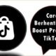 Cara Berhenti Xtra Boost Program TikTok