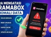 Cara Mengatasi DramaBox Anomali Data