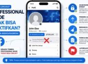 Mode Profesional Tidak Muncul di Facebook